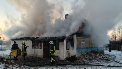 пожежа у селі Лучичі, пожежа у Ковельському районі