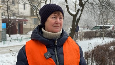 Двірнички Двірнички