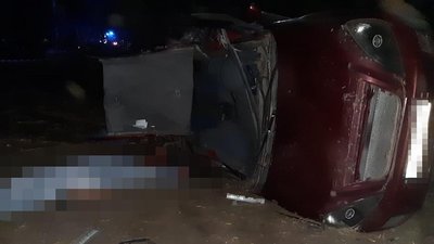 У ДТП на Запоріжжі 15-річний водій та пасажир отримали травми, троє пасажирів загинули