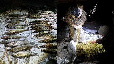 Збитків майже на 45 тисяч гривень: поблизу Черкас упіймали браконьєра