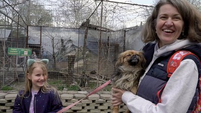 У Львові рятують домашніх тварин, яких евакуювали з гарячих точок. СУСПІЛЬНЕ | ВІДЕОНОВИНИ