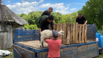 На Чернігівщині надійшло 13 заяв для отримання допомоги на евакуацію людей з худобою