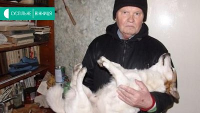 Вінничанину присудили 5 років в'язниці за жорстоке поводження з тваринами