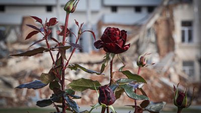 Вижити й жити. Який вигляд мав Херсон в останні дні жовтня — у фото