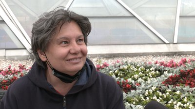 "Острів серед бетону" у Рівному: ініціатори відреагували на критику "Острів серед бетону" у Рівному: ініціатори відреагували на критику