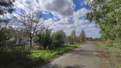 "Щастя любить тишу": як живуть у віддаленому селі на Волині "Щастя любить тишу": як живуть у віддаленому селі на Волині