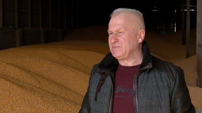 Стоять тижнями в черзі в портах: як реалізують збіжжя черкаські аграрії Стоять тижнями в черзі в портах: як реалізують збіжжя черкаські аграрії
