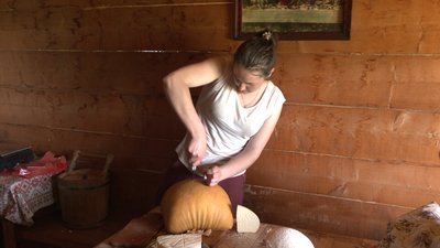 Бізнес на висоті. Як відкриття ринку землі впливає на прикарпатські полонини Бізнес на висоті. Як відкриття ринку землі впливає на прикарпатські полонини