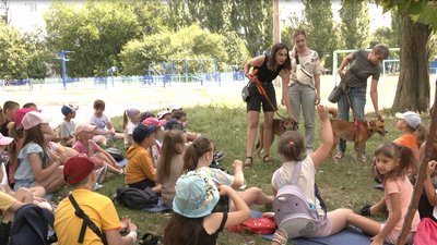 Обіймають собак і слухають лекції про Україну: у черкаській школі діє табір Обіймають собак і слухають лекції про Україну: у черкаській школі діє табір