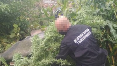 Ховав у гаражі: у волинянина вилучили пів кілограма наркотиків