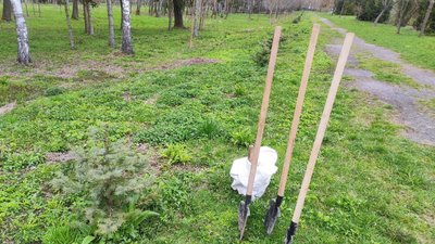 У Центральному парку Луцька висадили квіти до 35-ої річниці пам'яті аварії на ЧАЕС У Центральному парку Луцька висадили квіти до 35-ої річниці пам'яті аварії на ЧАЕС