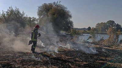 Рятувальник ліквідовує пожежу на відкритій місцевості