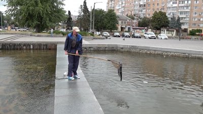 Засмічені фонтани Засмічені фонтани