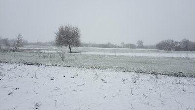 Погода на Сумщині: заморозки до -5 протягом трьох днів 26-28 квітня Погода на Сумщині: заморозки до -5 протягом трьох днів 26-28 квітня