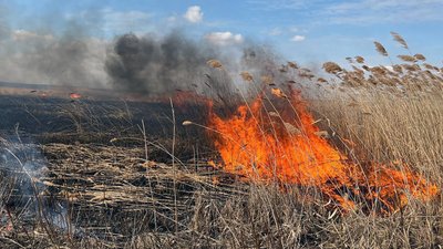 На Миколаївщині горів очерет площею п'ять гектарів — ДСНС На Миколаївщині горів очерет площею п'ять гектарів — ДСНС