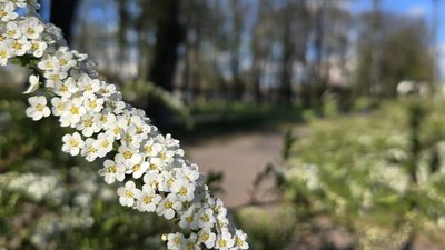 Погода у квітні