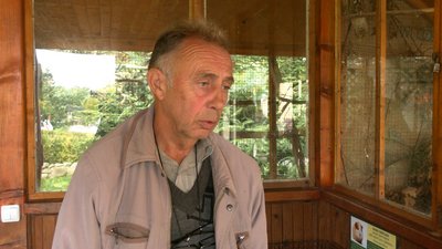 Історія одного порятунку: як прикарпатка вдома доглядала за совою Історія одного порятунку: як прикарпатка вдома доглядала за совою