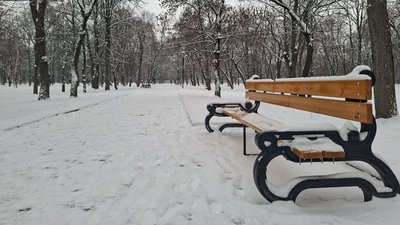 Дендропарк у Кропивницькому