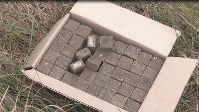На Дніпропетровщині втричі зросла кількість випадків сказу тварин: як проходить імунізація На Дніпропетровщині втричі зросла кількість випадків сказу тварин: як проходить імунізація