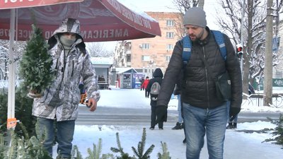 ялинки ялинки