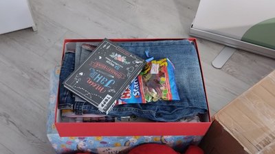 Іграшки, одяг, книжки: діти-сироти у Житомирі отримали подарунки від австрійських родин Іграшки, одяг, книжки: діти-сироти у Житомирі отримали подарунки від австрійських родин