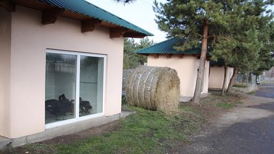 Відвар із шипшини та вітамінізовані корми: як вінницький зоопарк готується до зими Відвар із шипшини та вітамінізовані корми: як вінницький зоопарк готується до зими
