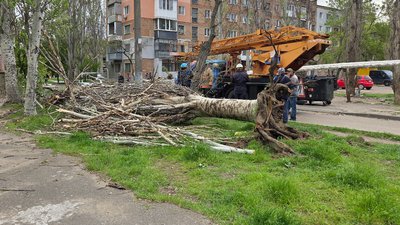 Як минув передостанній тиждень квітня на Миколаївщині: фотодобірка Як минув передостанній тиждень квітня на Миколаївщині: фотодобірка