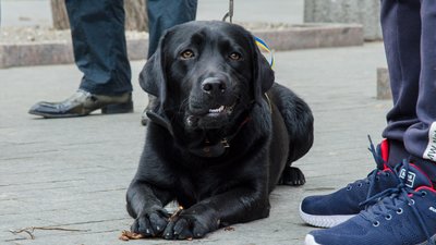 "Ми тоді перемогли". Як минув Марш захисників Одеси "Ми тоді перемогли". Як минув Марш захисників Одеси