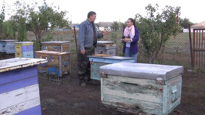 Запорізькі бджолярі в рамках гранту отримали 200 саджанців лип