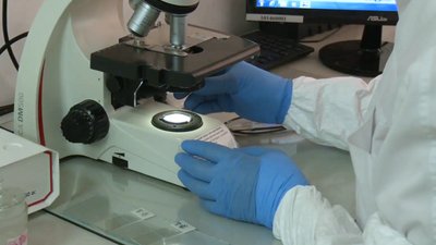 Від початку 2023 року у Франківську до лабораторії особливо небезпечних інфекцій після укусів кліщів звернулися 25 людей Від початку 2023 року у Франківську до лабораторії особливо небезпечних інфекцій після укусів кліщів звернулися 25 людей