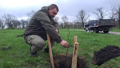У кропивницькому парку Перемоги висадили саджанці з Шевченкового дуба У кропивницькому парку Перемоги висадили саджанці з Шевченкового дуба
