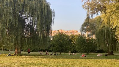 Молодіжний парк у Хмельницькому з’явився завдяки молоді Молодіжний парк у Хмельницькому з’явився завдяки молоді