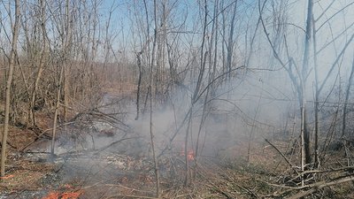 За три місяці на Миколаївщині сталося близько двох сотень пожеж на природі