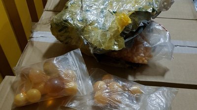На Житомирщині серед вантажу субстрату торфу прикордонники виявили білоруські сигарети і бурштин На Житомирщині серед вантажу субстрату торфу прикордонники виявили білоруські сигарети і бурштин