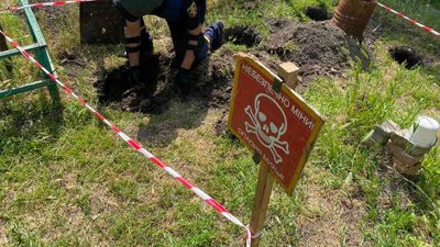 Саджав дерева: черкащанин на присадибній ділянці викопав арсенал боєприпасів