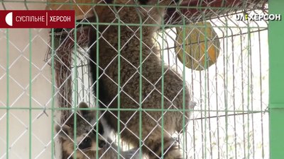 Гідропарк у Херсоні готують до літнього сезону Гідропарк у Херсоні готують до літнього сезону