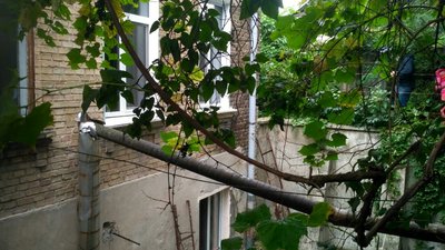 У Луцьку ЖЕК судиться з мешканцями будинку через борги за утримання У Луцьку ЖЕК судиться з мешканцями будинку через борги за утримання