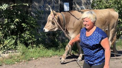 село Мирове, Донбас, Донецька область