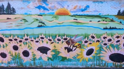 Мурали Рубіжного