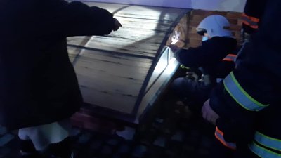 На Різдво у Франківську врятували кошеня, яке кілька днів сиділо у підвалі