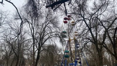 У херсонському парку більш ніж половину дерев потрібно спиляти - рішення комісії У херсонському парку більш ніж половину дерев потрібно спиляти - рішення комісії