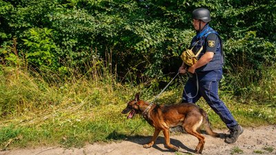 Пошукові роботи після вибуху на полігоні у Хмельницькій громаді