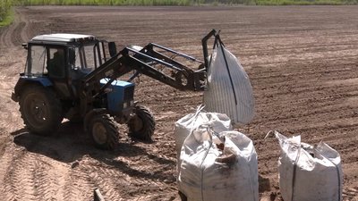 «Золота картопля»: на Чернігівщині майже втричі зросли витрати на висадку картоплі «Золота картопля»: на Чернігівщині майже втричі зросли витрати на висадку картоплі