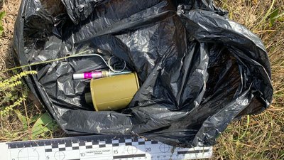 граната, вилучили гранату, борщівська громада, тернопіль
