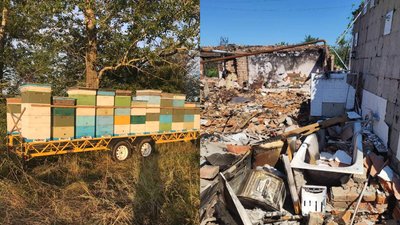 Пасіка під обстрілом: бджоляр із Харківщини покинув дім та евакуювався на Волинь Пасіка під обстрілом: бджоляр із Харківщини покинув дім та евакуювався на Волинь