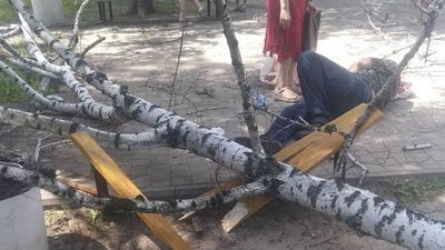 У Полтаві на чоловіка впало дерево: стали відомі подробиці події У Полтаві на чоловіка впало дерево: стали відомі подробиці події