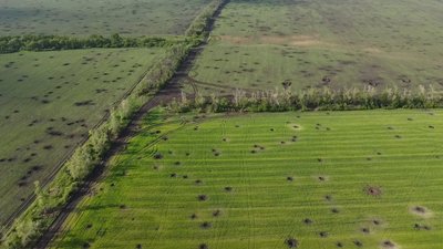 Російські війська не полишають спроб просуватися на сході Запорізької області — голова ОВА