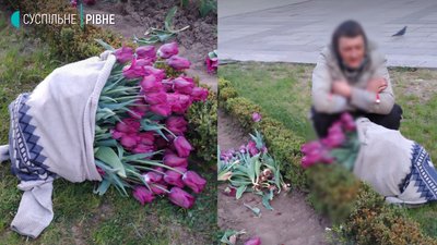 Попався вдруге: у Рівному поліція знову впіймала чоловіка, який рвав тюльпани
