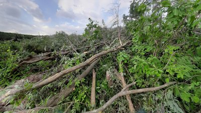 На Чернігівщині через негоду понад 36 тисяч споживачів залишилися без електропостачання На Чернігівщині через негоду понад 36 тисяч споживачів залишилися без електропостачання