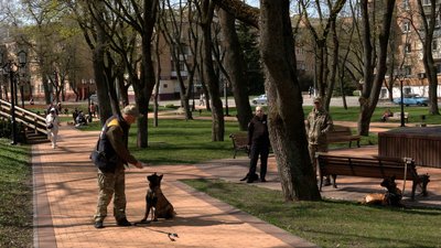 Шукатимуть наркотики, вибухівку та людей: у Чернігові кінологічний центр Нацполіції взяв 6 цуценят на навчання Шукатимуть наркотики, вибухівку та людей: у Чернігові кінологічний центр Нацполіції взяв 6 цуценят на навчання